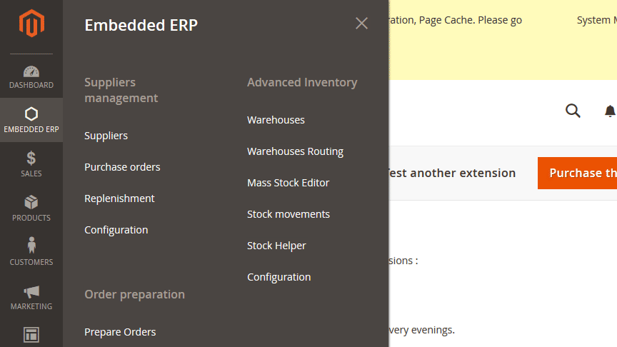 ERP magento 2 menu